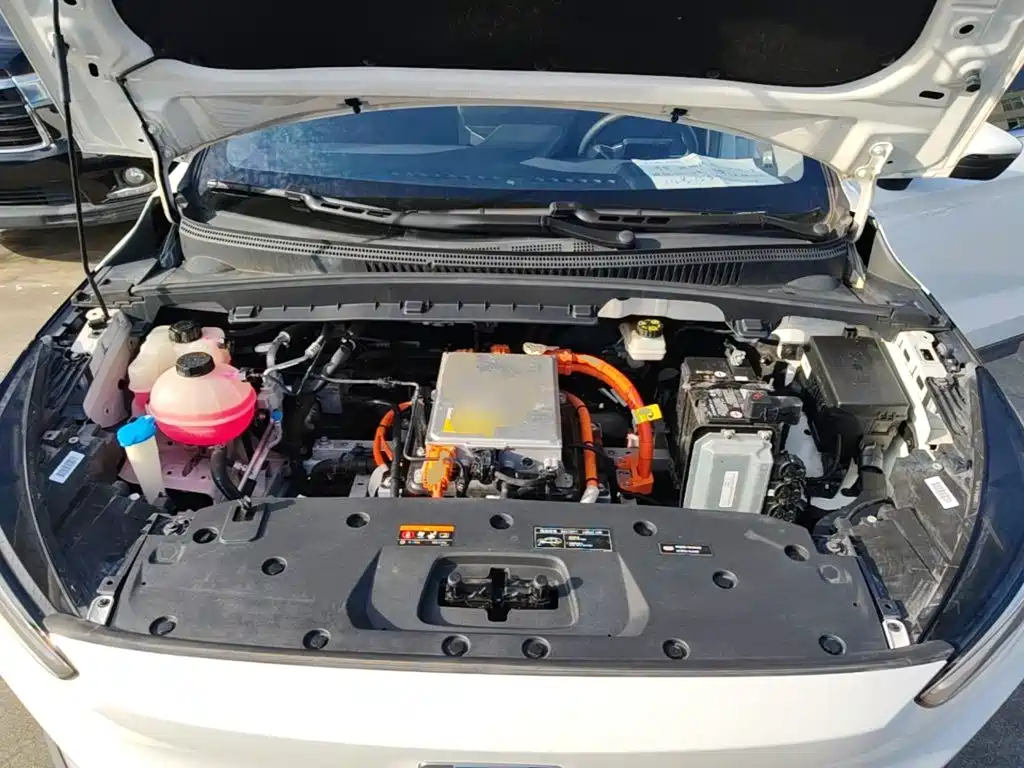 Geely Geometry C 2021 2020 Preferred Range Edition 400KM C+ Pro