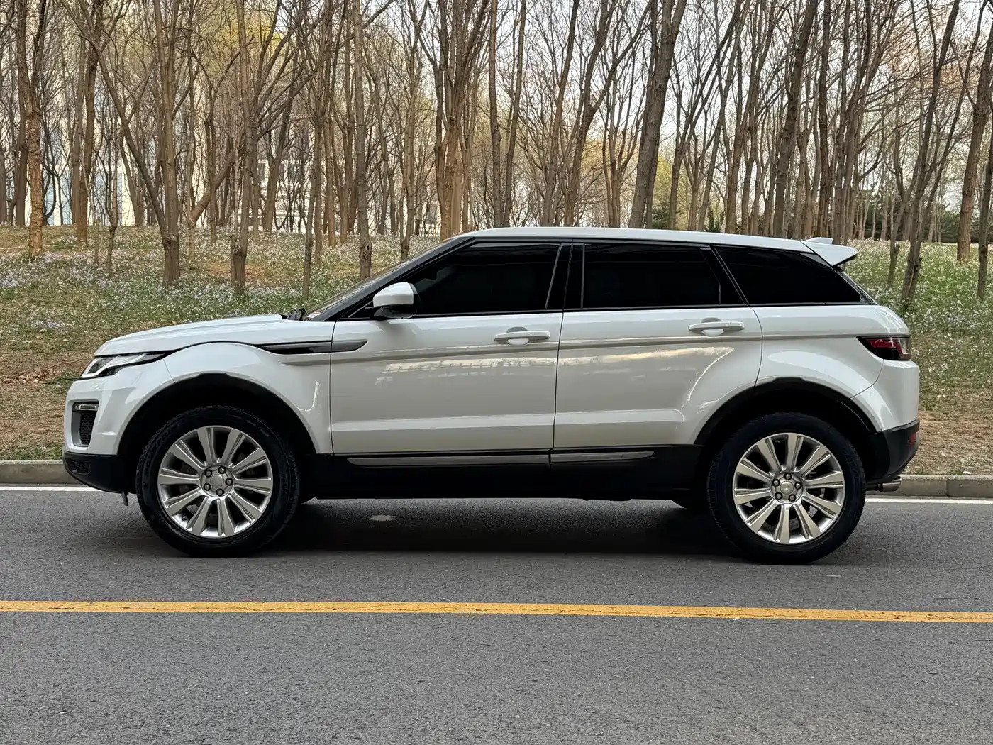 Land Rover Range Rover Evoque 2017 2.0T SE Smart Shine Edition фото 3