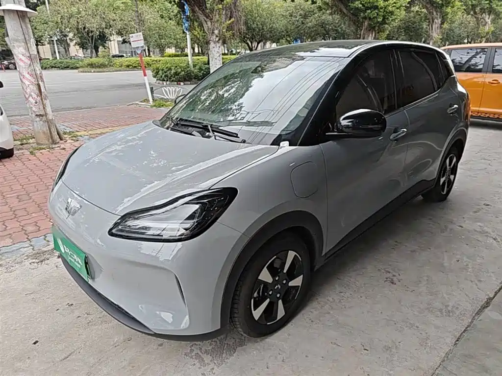 Wuling Motors Wuling Binguo PLUS 2024 401km Range 5-seater