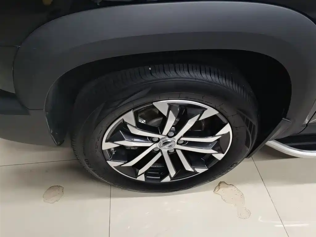 Haval Big Dog 2022 1.5T DCT FWD Border Collie Edition фото 23