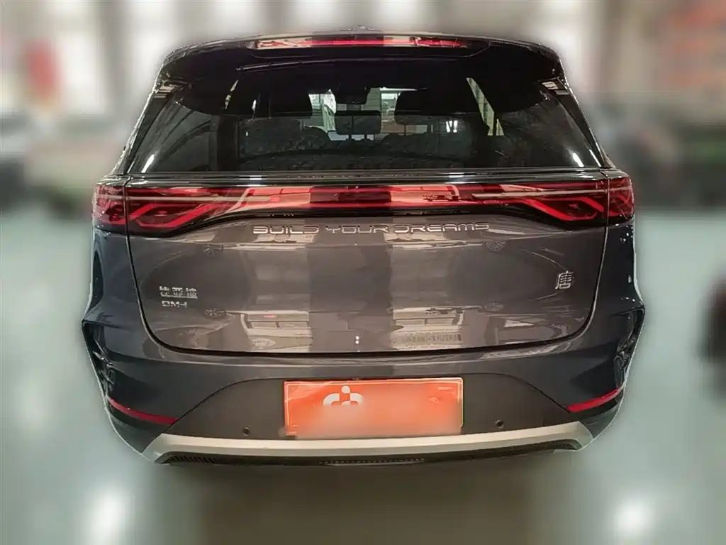 BYD Tang New Energy 2024 DM-i Glory Edition 112KM Deluxe фото 10