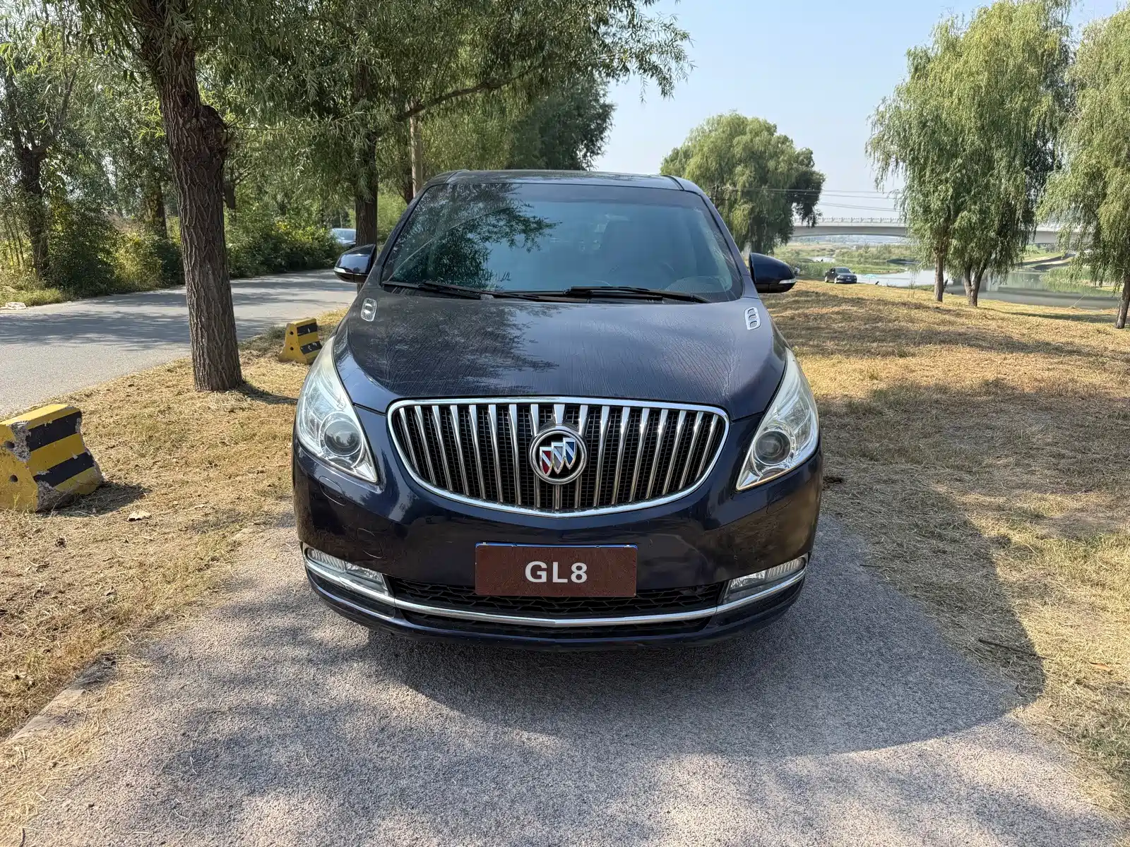 Фото 5 - Buick GL8