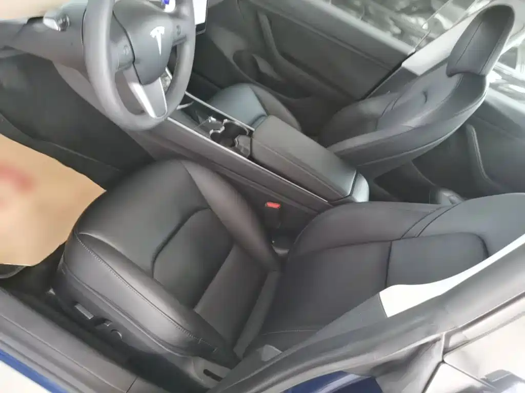Tesla Model 3 (Import) 2019 2019 Long Range RWD Version