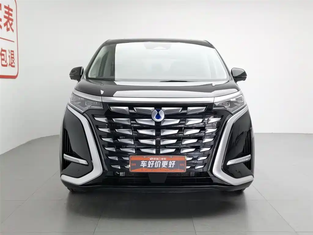 Denza D9 2024 DM-i 980 AWD Prestige фото 3