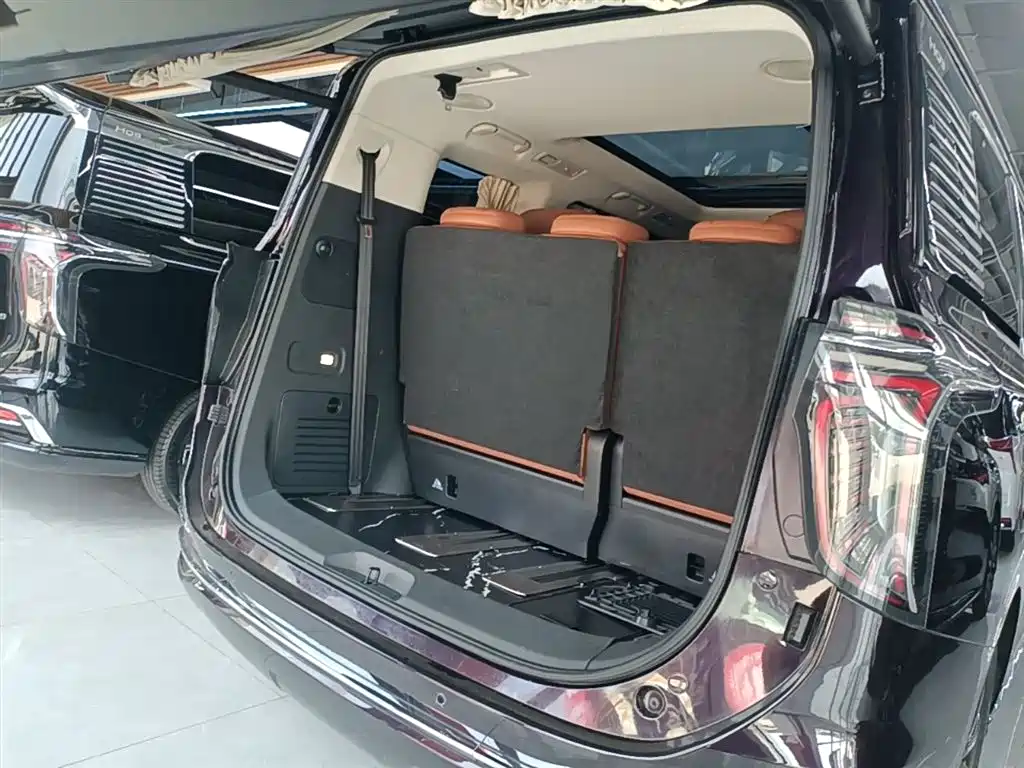 Hongqi HQ9 2023 2.0T Smart Connect Flag Enjoy Edition фото 19