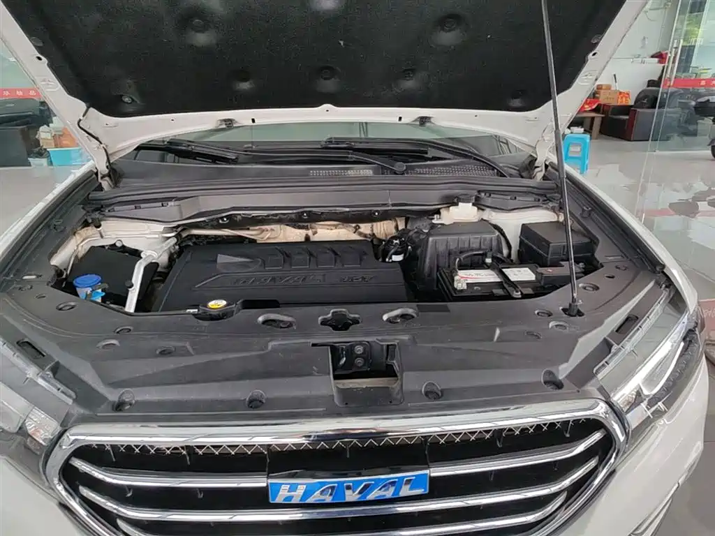 Haval H6 Coupe 2016 Blue Label 1.5T Automatic 2WD Elite фото 20