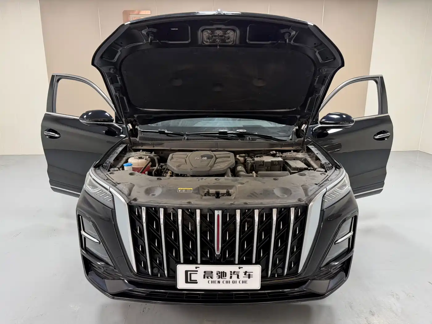 Hongqi HS5 2023 2.0T Flag Enjoy Pro Edition фото 15