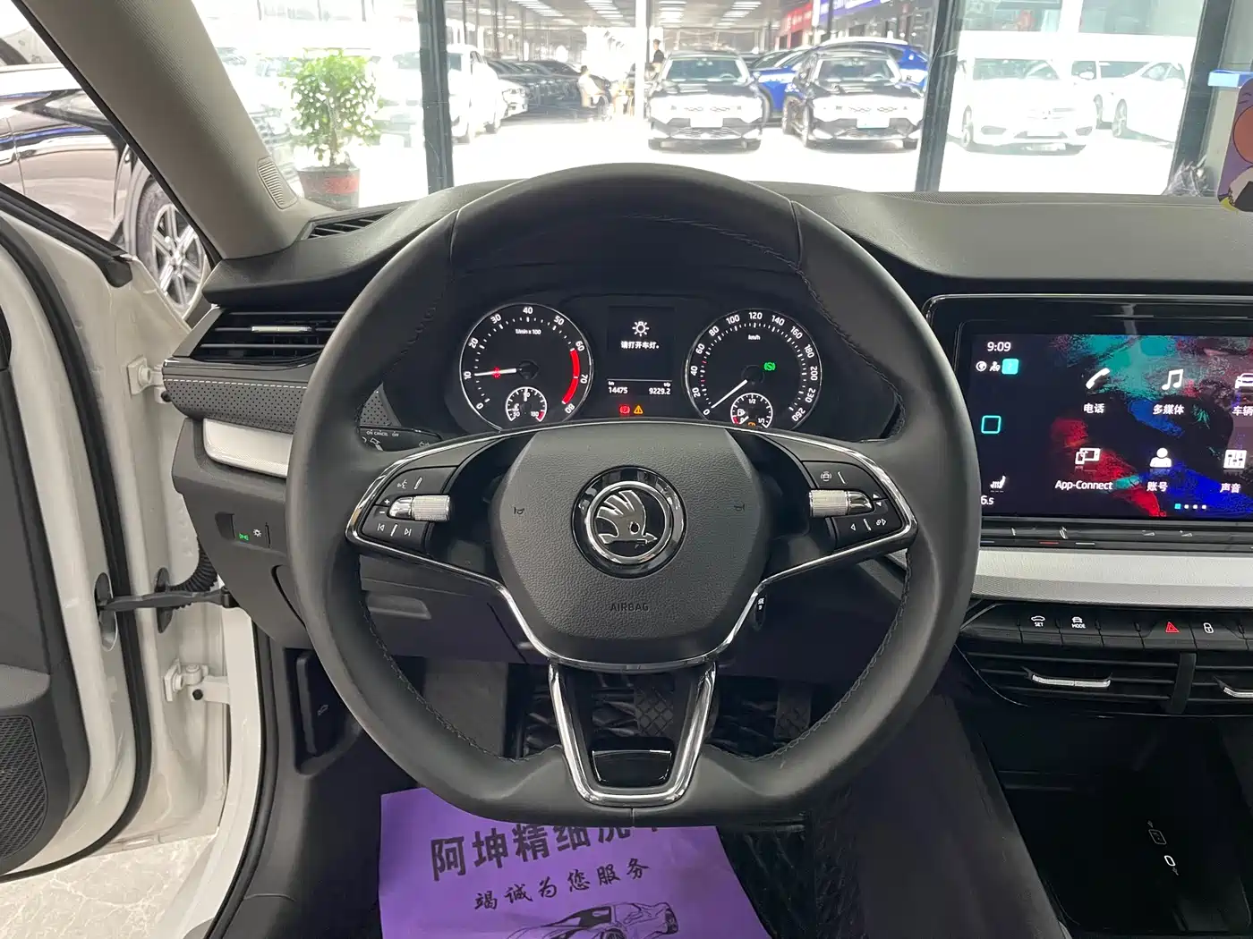 Škoda Octavia 2022 PRO TSI280 Premium Edition фото 9