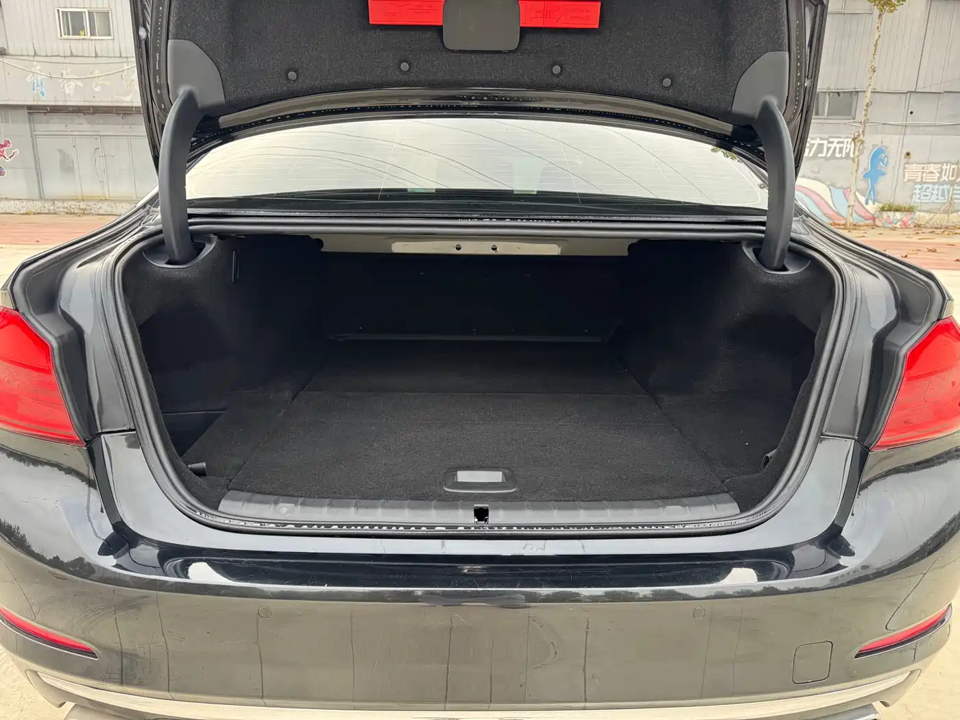 BMW 5 Series New Energy 2020 530Le Range Upgrade Luxury Package фото 14