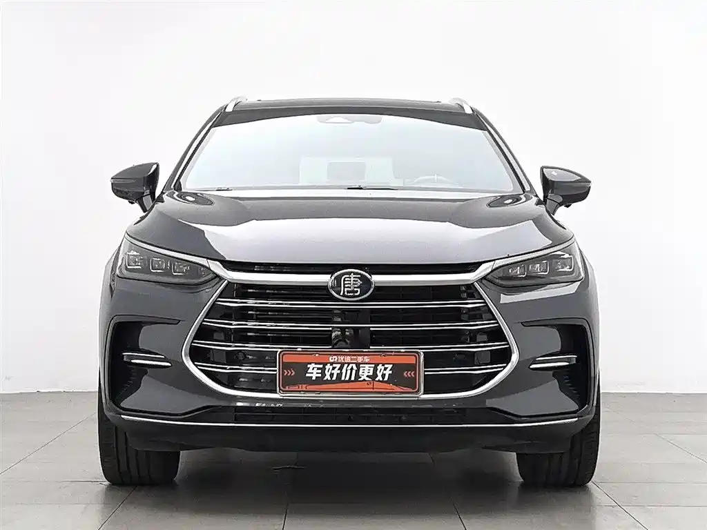 BYD Tang New Energy 2021 DM-i 112KM Honor фото 3