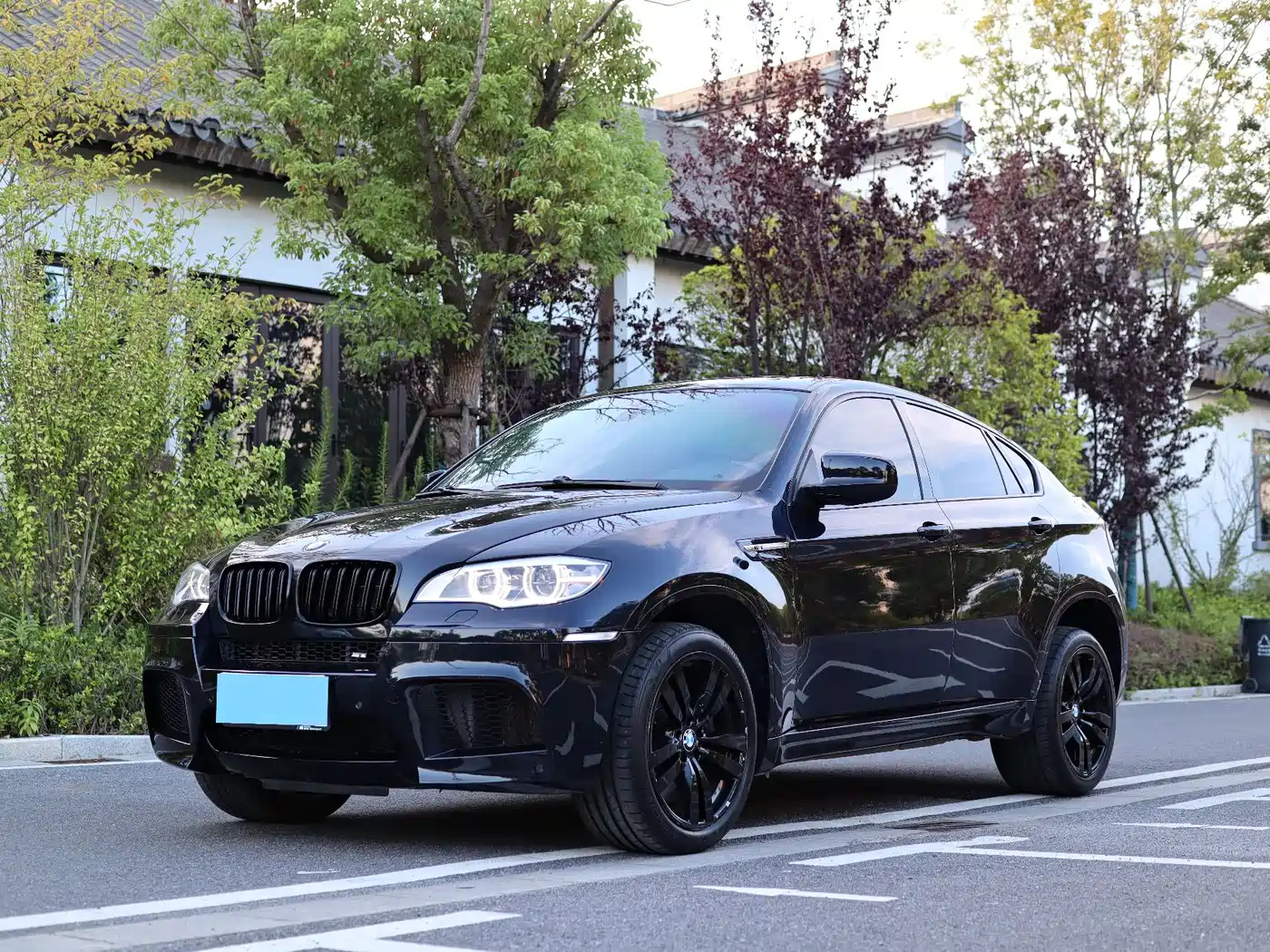 BMW X6 M 2010 X6 M