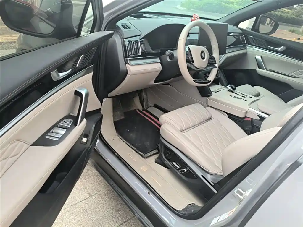 BYD Tang New Energy 2025 DM-i 115KM Flagship фото 16