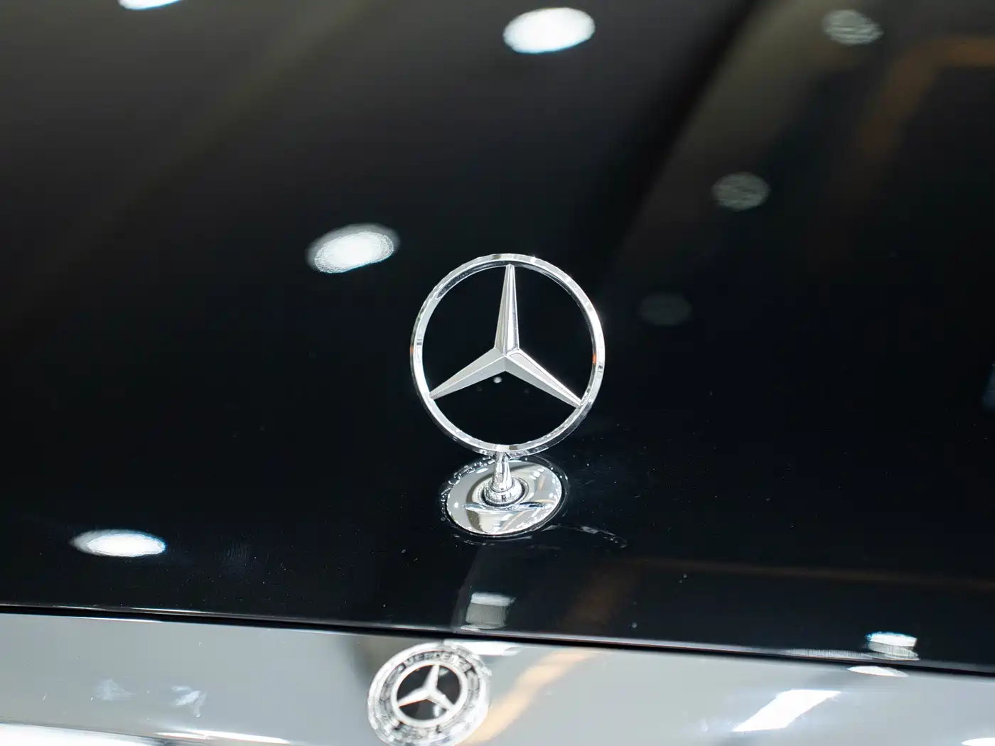 Mercedes-Benz S-Class 2020 S 350 L Premium Edition Collector's Version фото 37