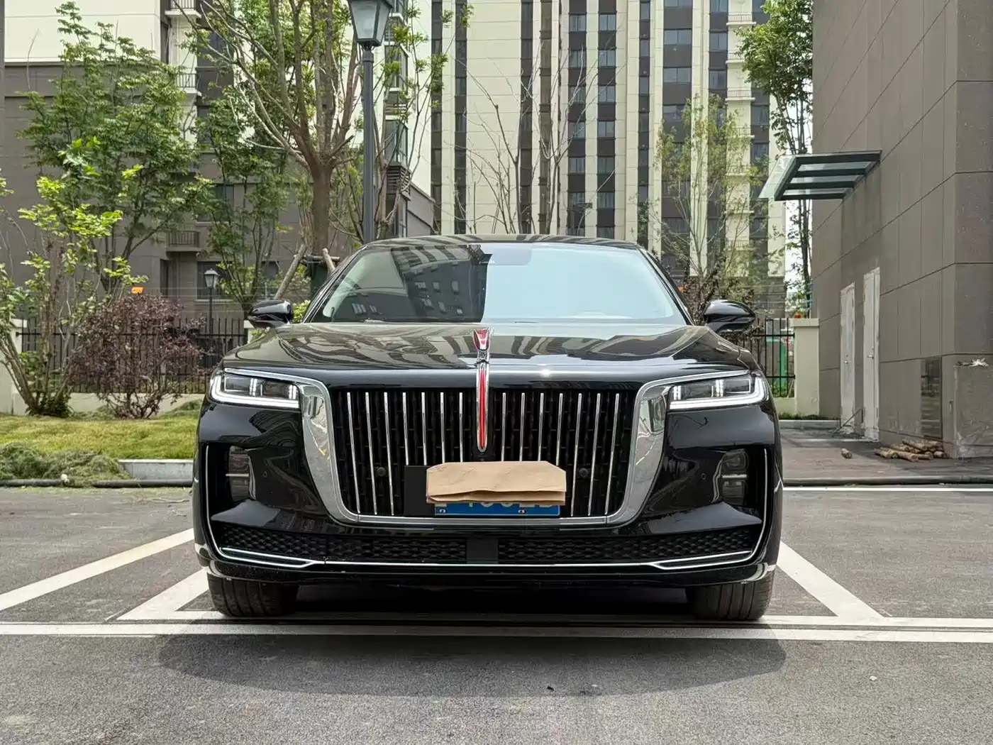 Hongqi H9 2022 2.0T Smart Connect Flag Smooth Edition фото 2