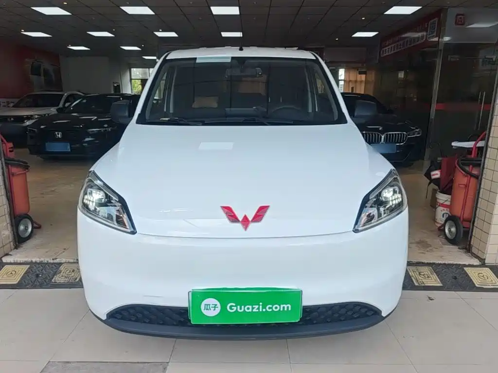 Wuling Motors Wuling Hongguang New Energy 2024 2024 Pure Electric 300KM Standard