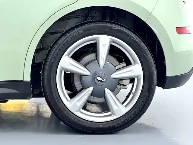 Ora Good Cat 2024 2023 401km Standard Range Luxury LFP