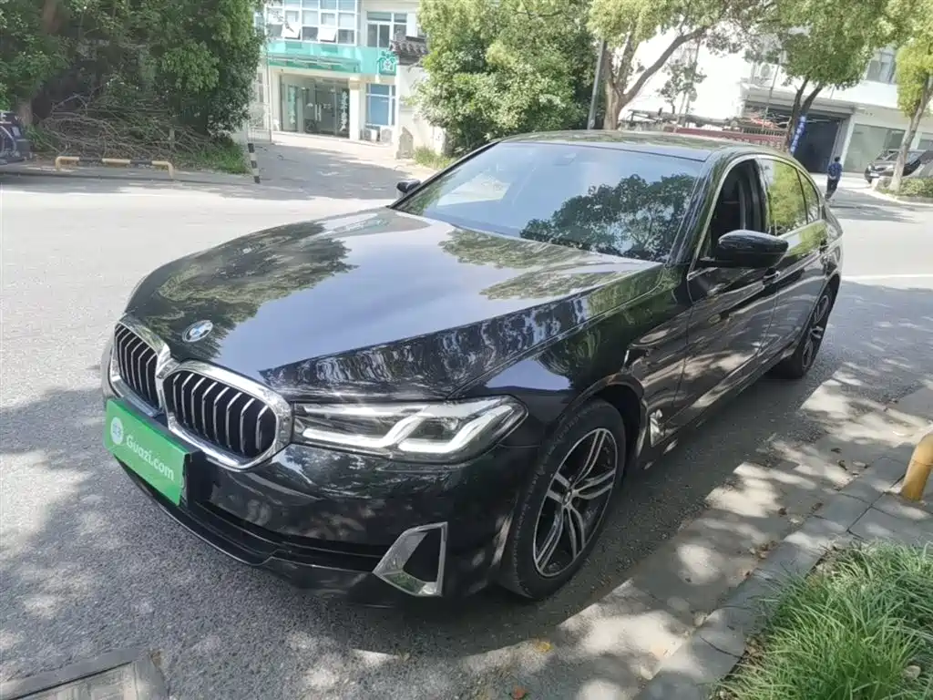BMW 5 Series 2021 530Li Leading Luxury Package