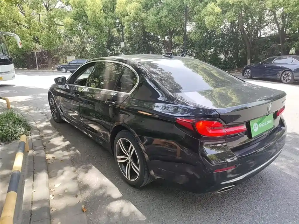 BMW 5 Series 2021 530Li Leading Luxury Package фото 5