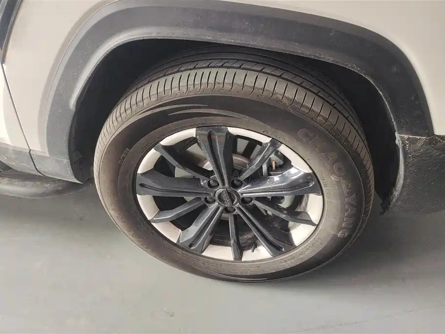 Haval Meng Long NEV 2024 Hi4 102 Pro фото 6