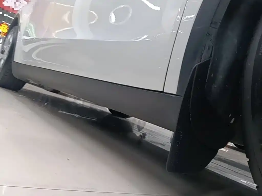 Tesla Model Y 2021 2021 Standard Range Rear-Wheel Drive