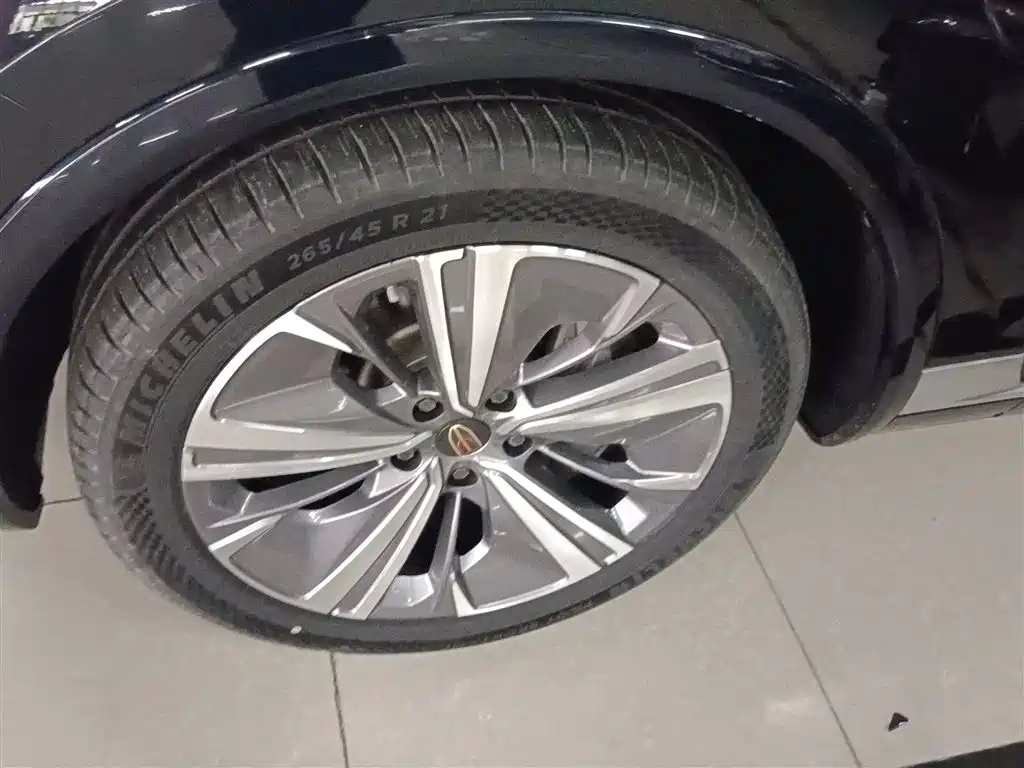 Hongqi E-HS9 2021 510km Flagship Comfort 6-seater фото 22