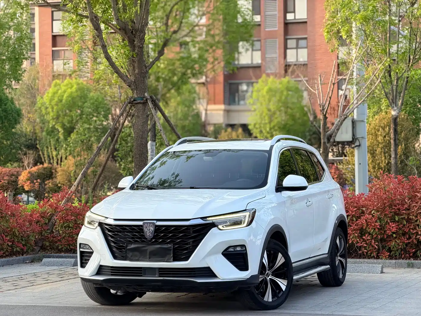 Roewe RX5 2020 PLUS 300TGI Auto Ali Guochao Luxury Edition