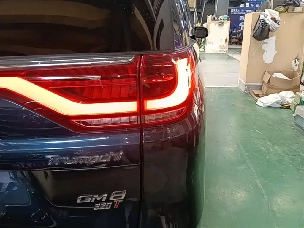 GAC Trumpchi Trumpchi M8 2018 320T Exclusive Edition фото 8