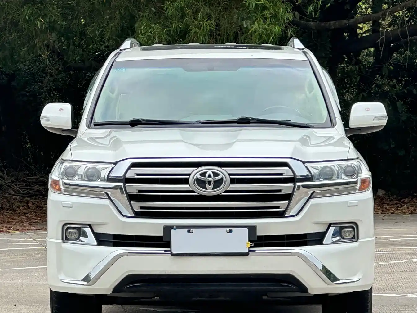 2017 Toyota Land Cruiser (Import)