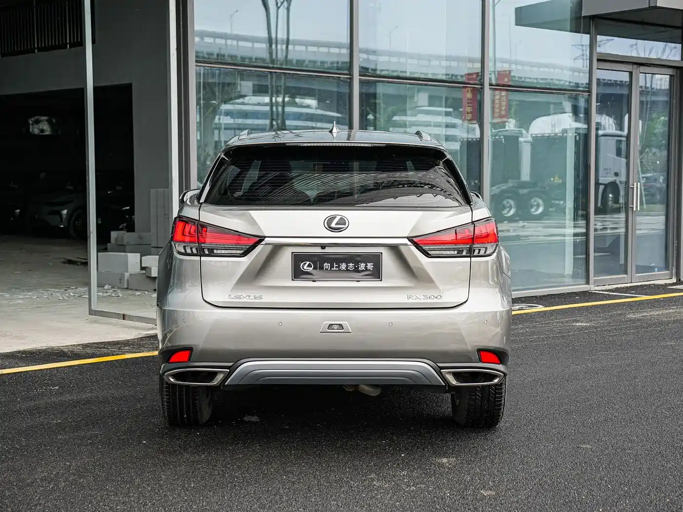LEXUS RX