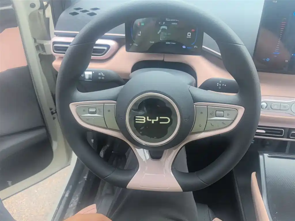 BYD Seagull 2025 Smart Drive Edition 305km Vitality Version фото 11