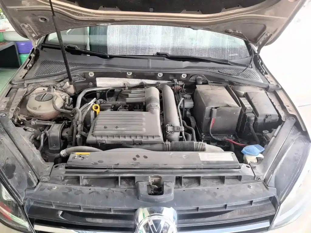 Фото 20 - Volkswagen Golf