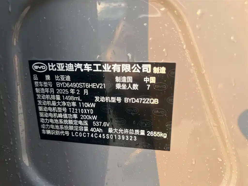 BYD Tang New Energy 2025 Smart Driving Edition DM-i 115KM Flagship фото 23