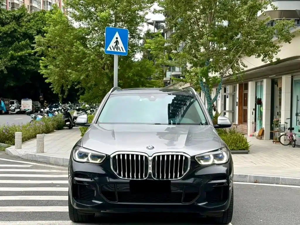 2022 BMW X5 (Import)
