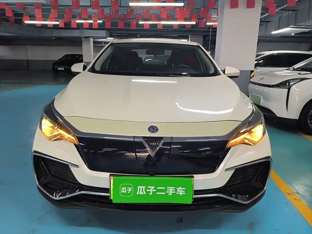 2024 Venucia D60EV