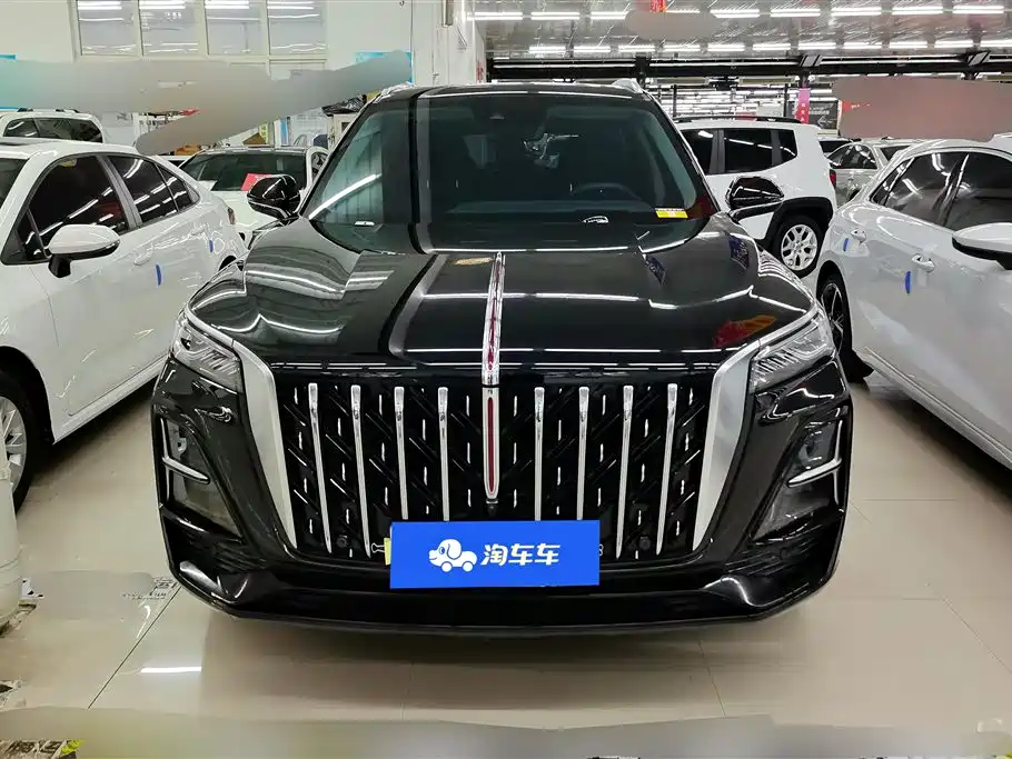 Hongqi HS5 2023 2.0T Flag Enjoy Pro Edition фото 2