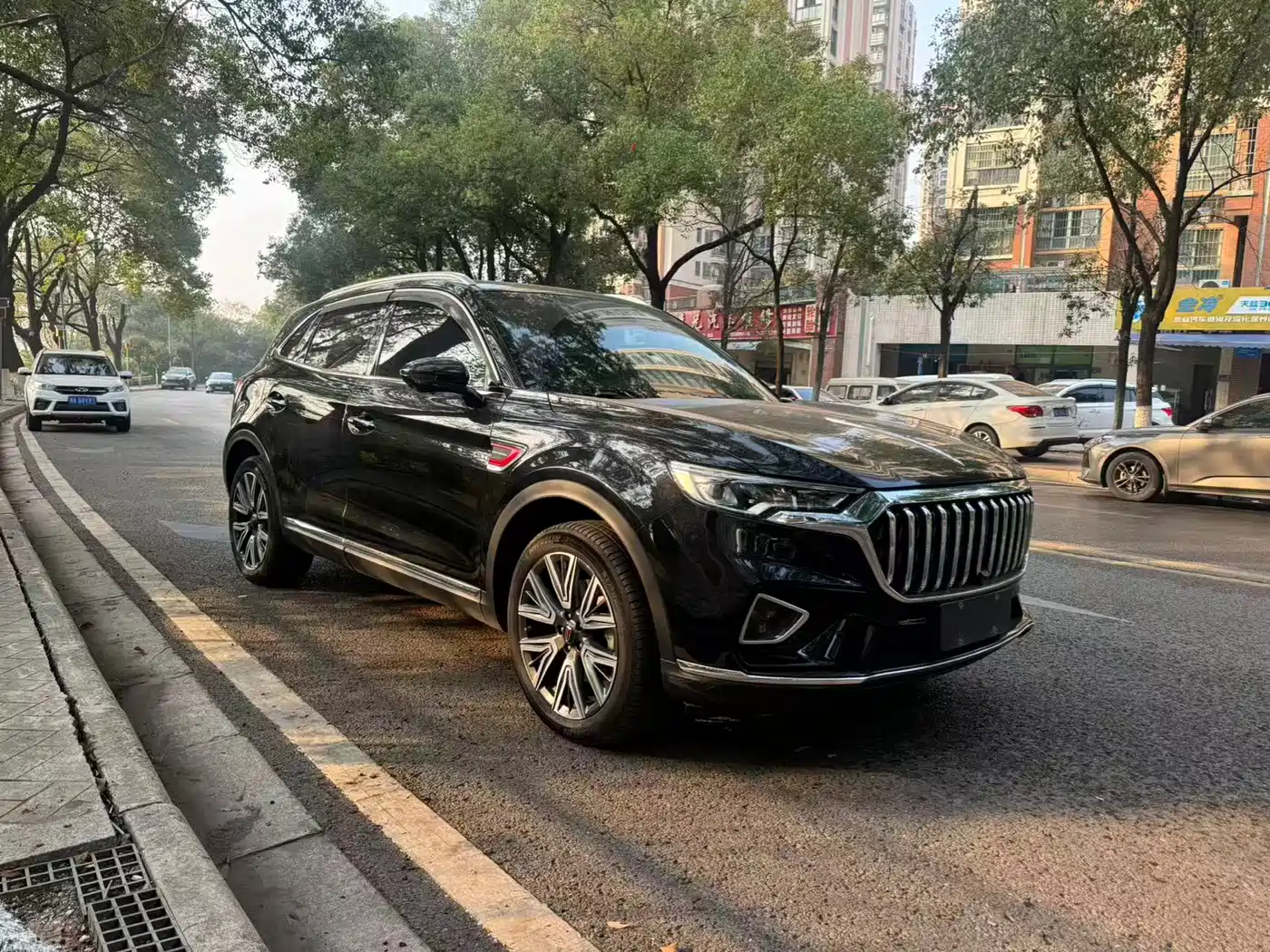 Hongqi HONGQI HS5