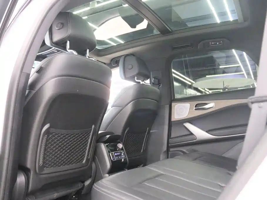 Denza X 2021 2020 Model PHEV Flagship Edition