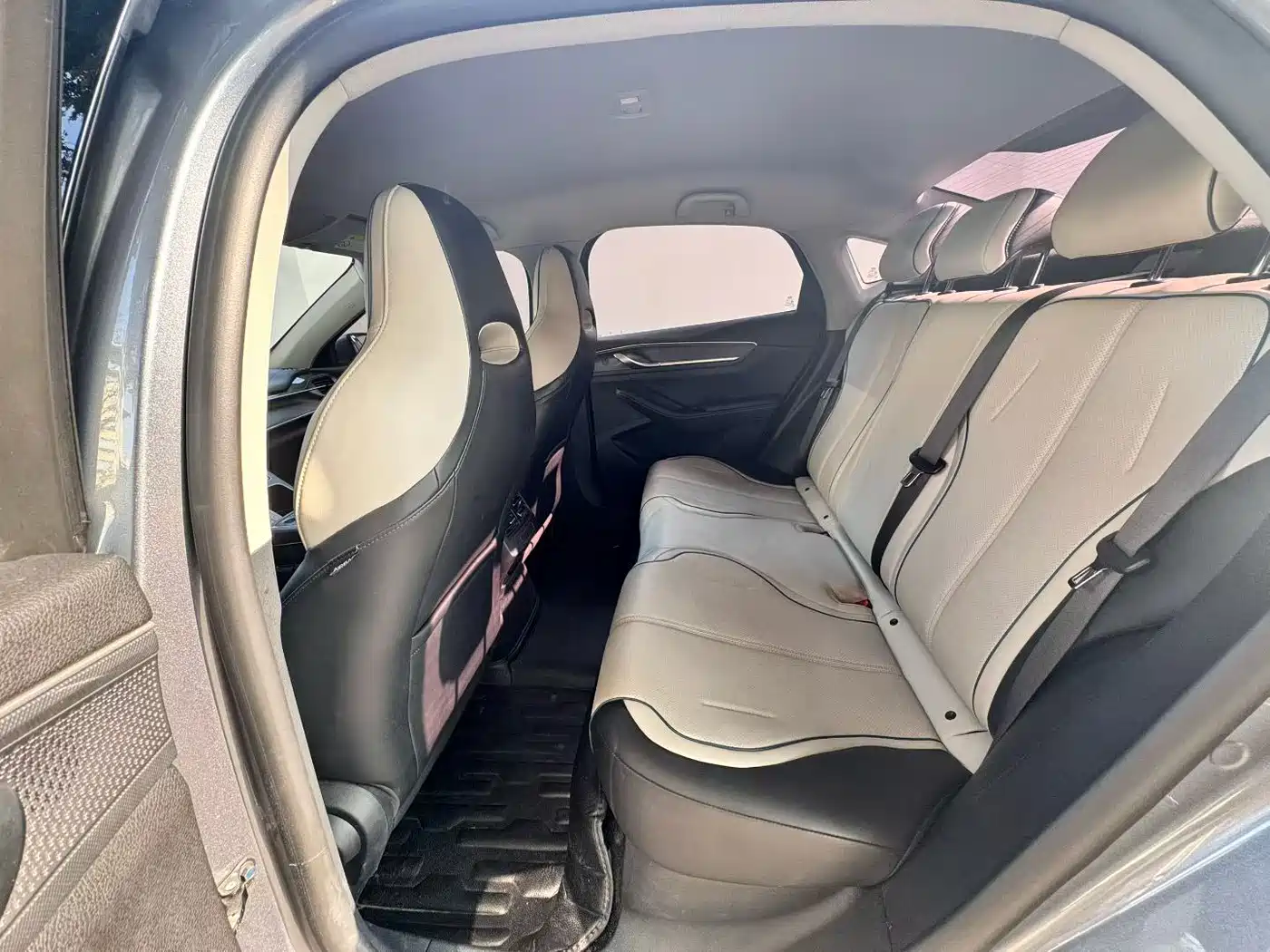 BYD Destroyer 05 2023 Champion Edition DM-i 55KM Luxury фото 6