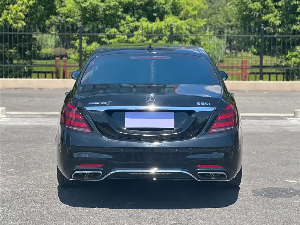 Mercedes-Benz S-Class AMG 2018 AMG S 65 L фото 3