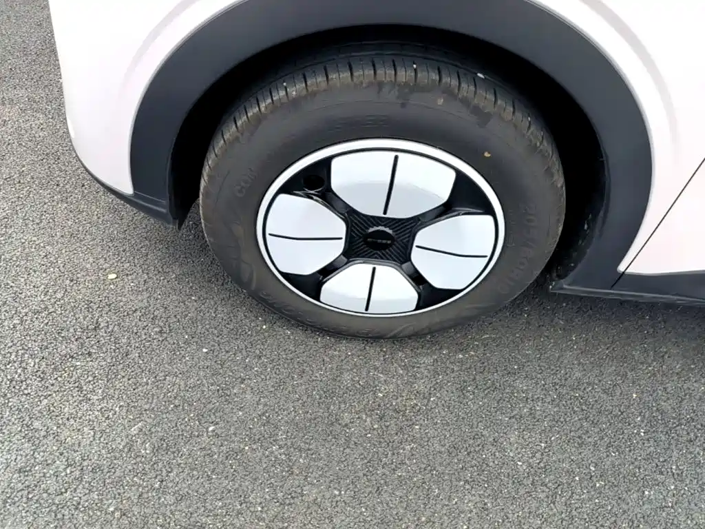 Geely Galaxy Starry Wish 2026 2026 Edition 310km Youth Version
