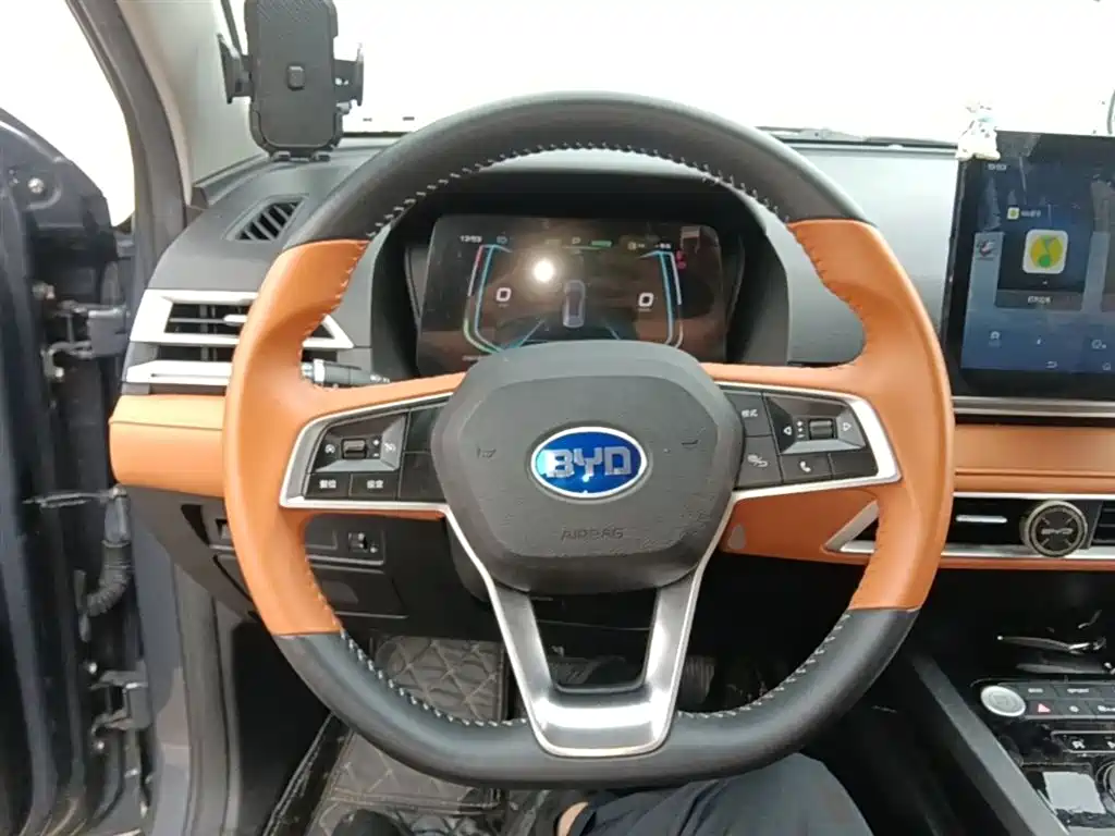 BYD e2 2021 Luxury Edition фото 11