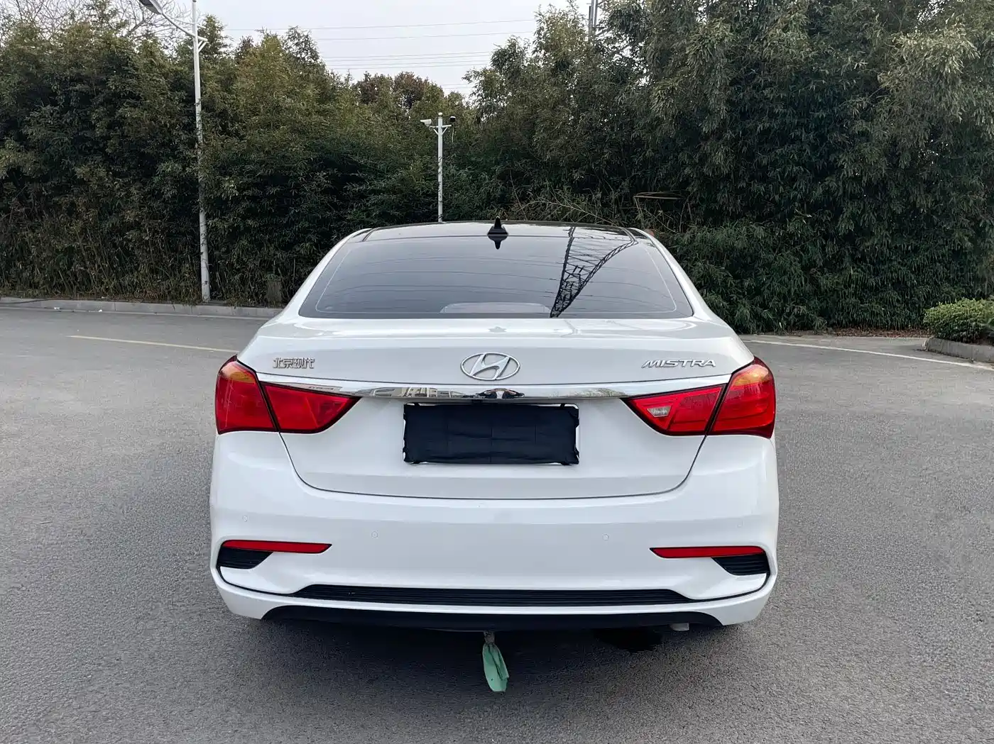 HYUNDAI NAME PICTURE