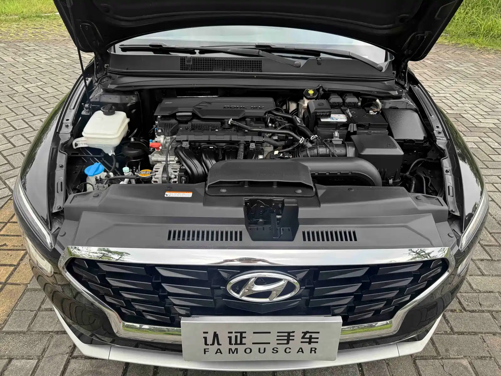 Photo 16 - Hyundai Mistra