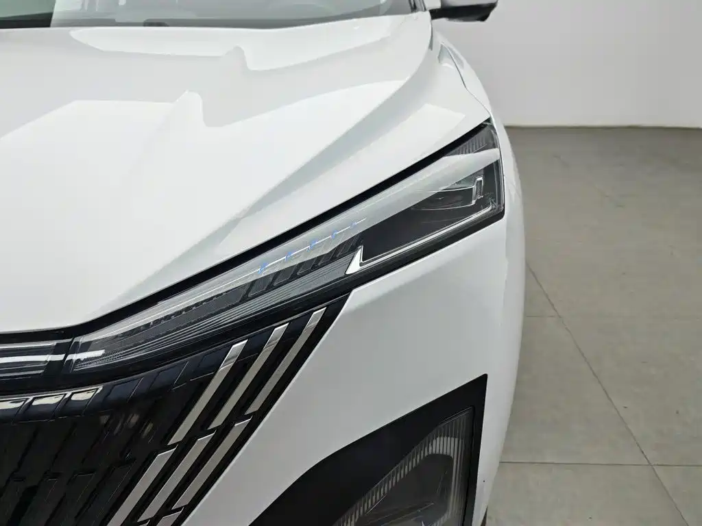 Dongfeng Aeolus Haohan 2024 2024 Glory Edition DH-i 1.5T Premium