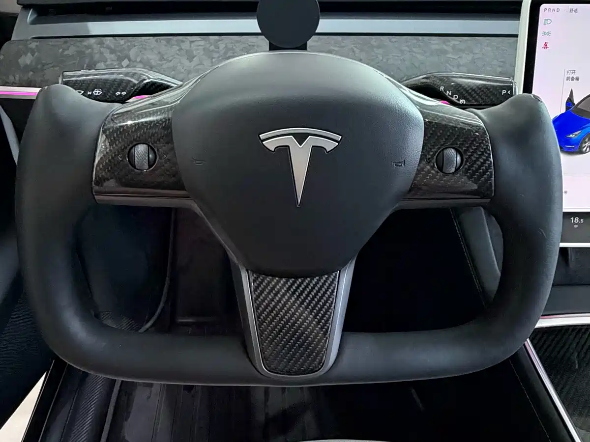 Photo 10 - Tesla Model Y