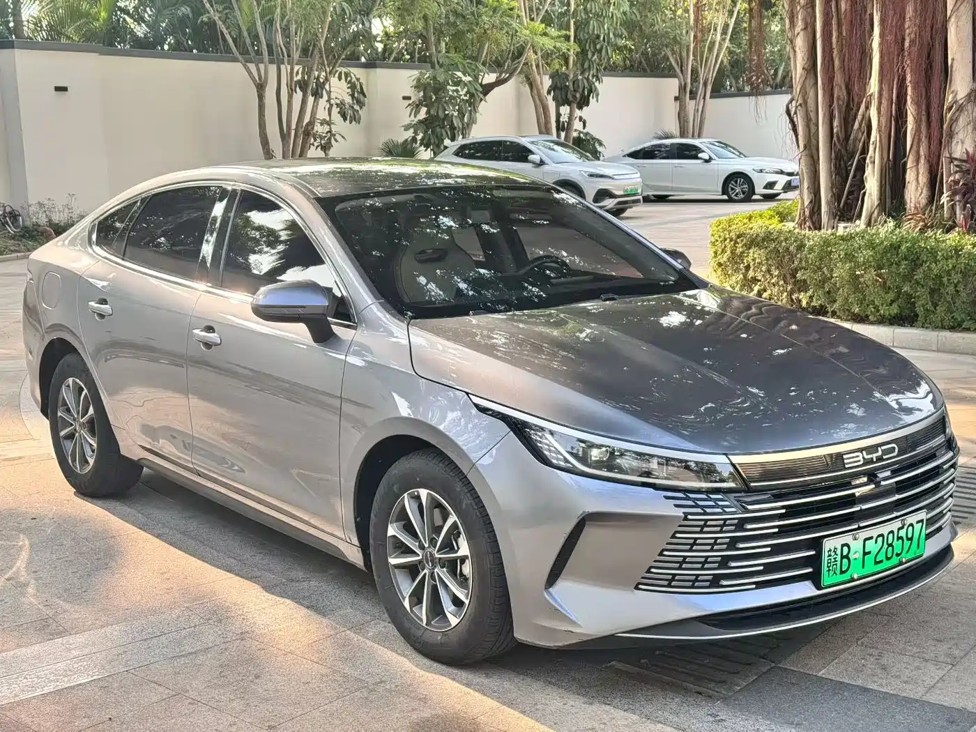 BYD Destroyer 05 2023 Champion Edition DM-i 55KM Luxury фото 3