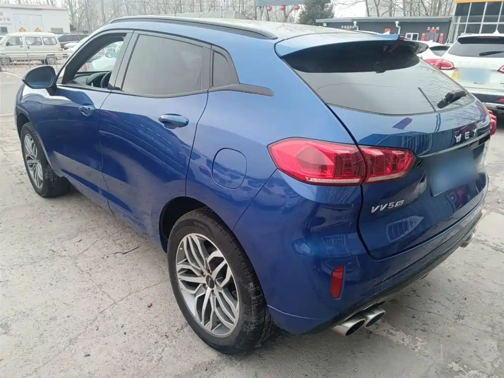 WEY VV5 2017 2017 2.0T Super Luxury Model
