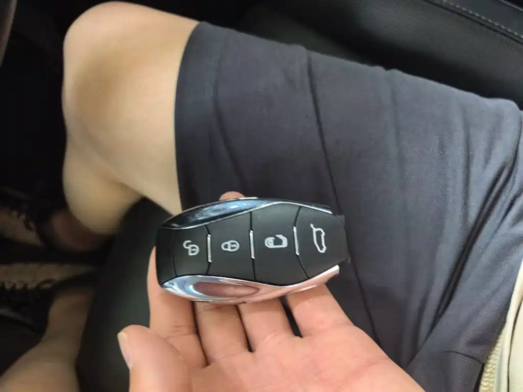 Hongqi HQ9 2023 2.0T Smart Connect Flag Enjoy Edition фото 9