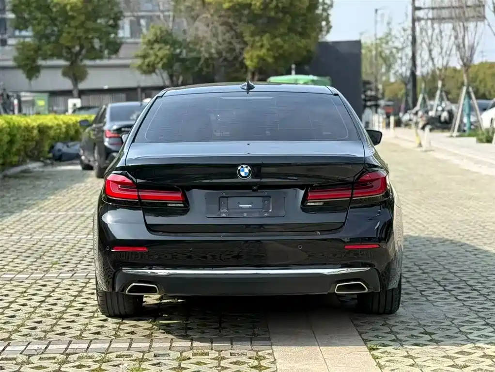 BMW 5 SERIES NEW ENERGY