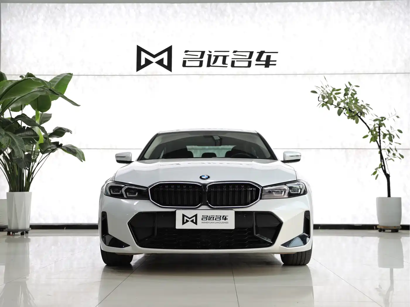 BMW 3 Series 2023 320Li M Sport Package фото 2